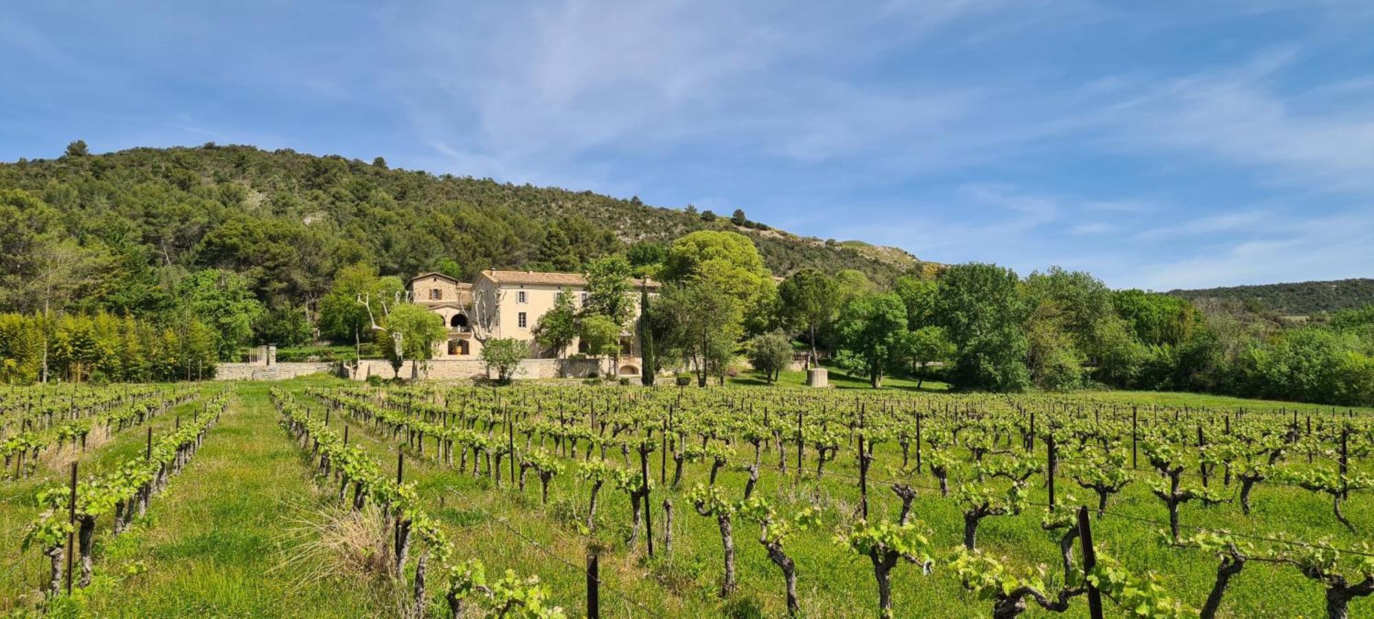 La Bastide De Peyremale, Gites En Cevennes, Piscine, Tennis Bagard Екстер'єр фото