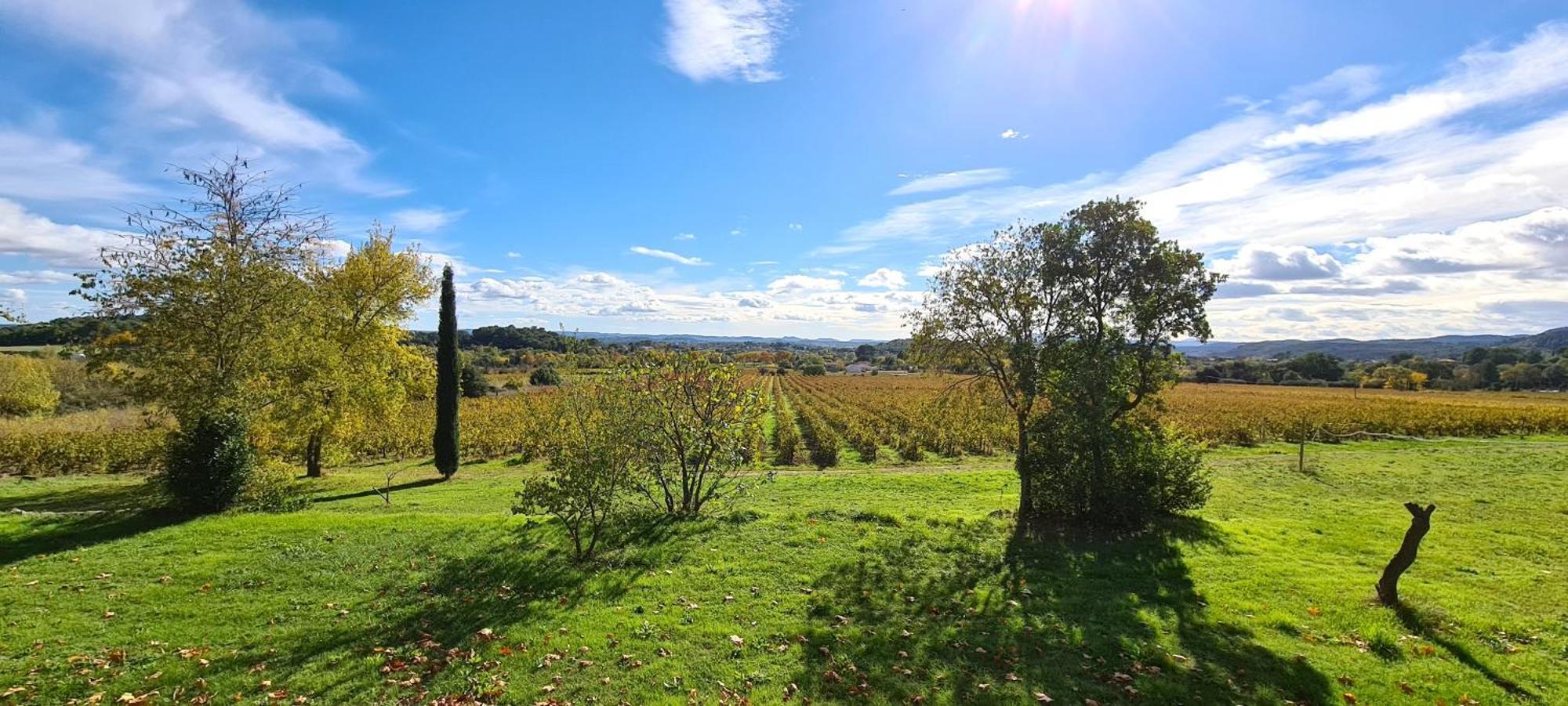 La Bastide De Peyremale, Gites En Cevennes, Piscine, Tennis Bagard Екстер'єр фото